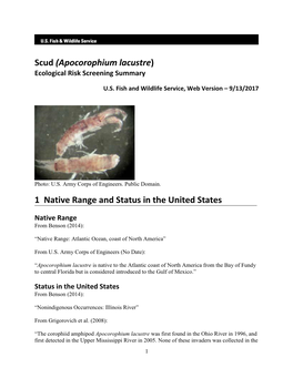 Apocorophium Lacustre) Ecological Risk Screening Summary