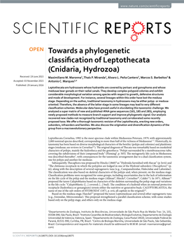 Towards a Phylogenetic Classification of Leptothecata (Cnidaria, Hydrozoa) Received: 19 June 2015 Maximiliano M