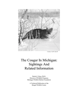 The Cougar in Michigan: Sightings and Related Information