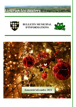 BULLETIN MUNICIPAL D'informations Semestriel