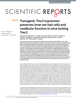 Transgenic Tmc2 Expression