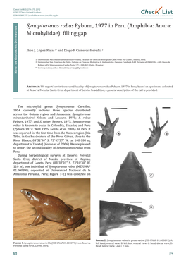 Synapturanus Rabus Pyburn, 1977 in Peru (Amphibia: Anura: Istributio D Microhylidae): Filling Gap 1* and Diego F