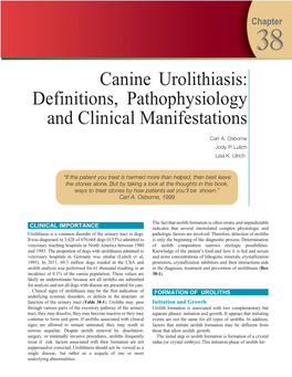 Canine Urolithiasis: Definitions, Pathophysiology and Clinical Manifestations