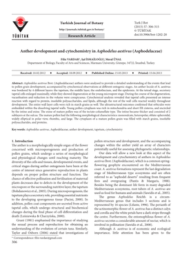 Anther Development and Cytochemistry in Asphodelus Aestivus (Asphodelaceae)