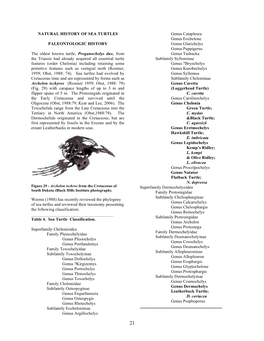 Natural History of Sea Turtles Paleontologic