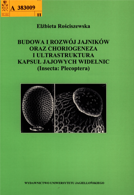 BUDOWA I ROZWÓJ JAJNIKÓW ORAZ CHORIOGENEZA I ULTRASTRUKTURA KAPSUŁ JAJOWYCH WIDELNIC (Insecta: Plecoptera)