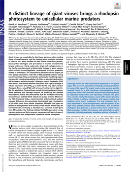 A Distinct Lineage of Giant Viruses Brings a Rhodopsin Photosystem to Unicellular Marine Predators