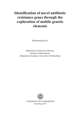 Identification of Novel Antibiotic Resistance Genes Through the Exploration of Mobile Genetic Elements