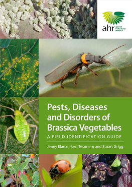 Pests, Diseases and Disorders of Brassica Vegetables a FIELD IDENTIFICATION GUIDE