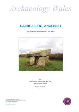 Archaeology Wales