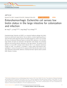 Enterohemorrhagic Escherichia Coli Senses Low Biotin Status in the Large Intestine for Colonization and Infection