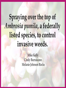 Spraying Over the Top of Ambrosia Pumila, a Federally Listed Species, to Control Invasive Weeds