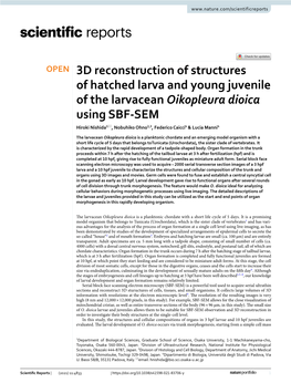 3D Reconstruction of Structures of Hatched Larva and Young Juvenile Of