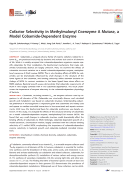 Cofactor Selectivity in Methylmalonyl Coenzyme a Mutase, a Model Cobamide-Dependent Enzyme