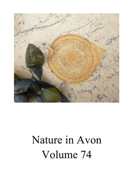 Nature in Avon Volume 74 the Plants of Urban Footpaths – Richard Bland