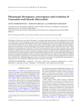 Phenotypic Divergence, Convergence and Evolution of Caucasian Rock