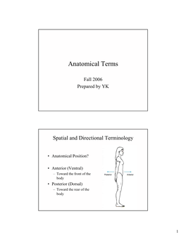 Anatomical Terms