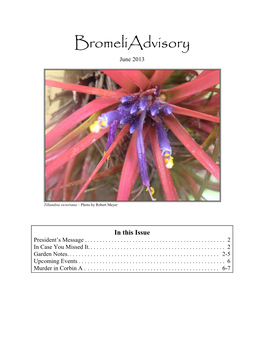 Bromeliadvisory June 2013