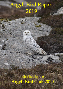 The Thirty First ARGYLL BIRD REPORT with Systematic List for the Year 2019