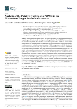 Analysis of the Putative Nucleoporin POM33 in the Filamentous Fungus Sordaria Macrospora