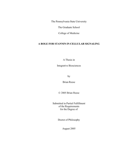 Open Thesis.Pdf