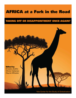 Africa at a Fork in the Road: Taking Off Or Disappointment Once Again?