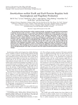 Sinorhizobium Meliloti Exor and Exos Proteins Regulate Both Succinoglycan and Flagellum Production Shi-Yi Yao,1 Li Luo,2 Katherine J