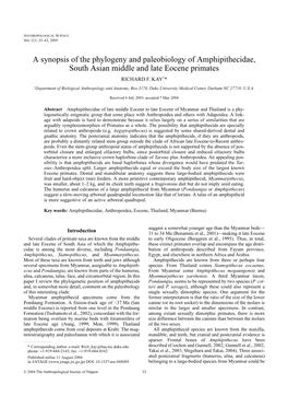 A Synopsis of the Phylogeny and Paleobiology of Amphipithecidae, South Asian Middle and Late Eocene Primates RICHARD F