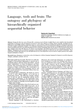 The Ontogeny and Phylogeny of Hierarchically Organized Sequential Behavior