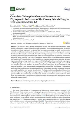 Complete Chloroplast Genome Sequence and Phylogenetic Inference of the Canary Islands Dragon Tree (Dracaena Draco L.)