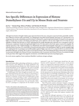 Sex-Specific Differences in Expression of Histone Demethylases Utx and Uty in Mouse Brain and Neurons