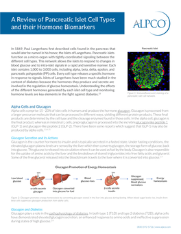 A Review of Pancreatic Islet Cell Types and Their Hormone Biomarkers