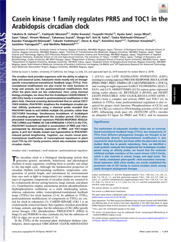 Casein Kinase 1 Family Regulates PRR5 and TOC1 in the Arabidopsis Circadian Clock