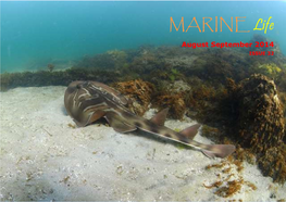 Marine Life Network