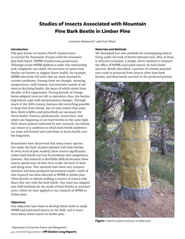 Studies of Insects Associated with Mountain Pine Bark Beetle in Limber Pine