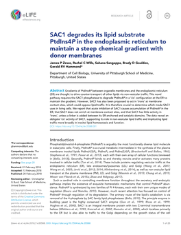 SAC1 Degrades Its Lipid Substrate Ptdins4p in the Endoplasmic Reticulum to Maintain a Steep Chemical Gradient with Donor Membran