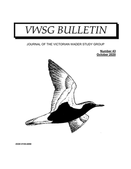 Vwsg Bulletin