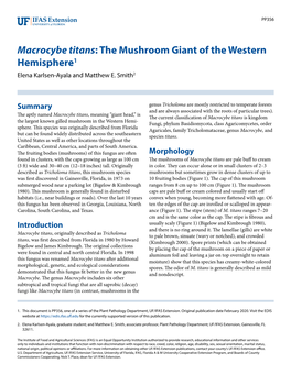 Macrocybe Titans: the Mushroom Giant of the Western Hemisphere1 Elena Karlsen-Ayala and Matthew E