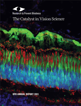The Catalyst in Vision Science
