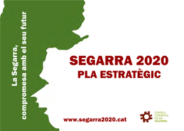 SEGARRA 2020 PLA ESTRATÈGIC Benvolgudes, Benvolguts