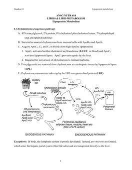 Handout 11 Lipoprotein Metabolism