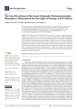 The Gut Microbiota of the Insect Infraorder Pentatomomorpha (Hemiptera: Heteroptera) for the Light of Ecology and Evolution