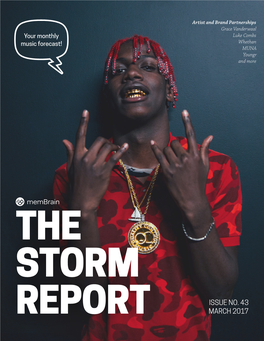 STORM Report Is a Compilation of Up-And-Coming Bands and This Issue of the STORM Report Explores the Artists Who Are Worth Watching