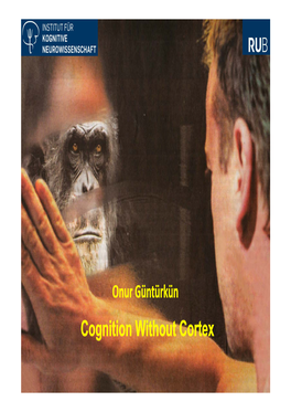 Cognition Without Cortex the History of Life