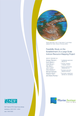2004 Feasibility Study on the Establishment of a Large Scale