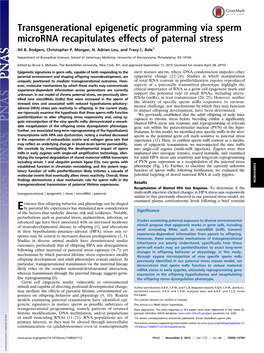 Transgenerational Epigenetic Programming Via Sperm Microrna Recapitulates Effects of Paternal Stress