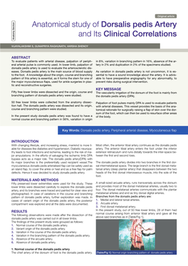 Anatomical Study of Dorsalis Pedis Artery and Its Clinical Correlations Anatomy Section