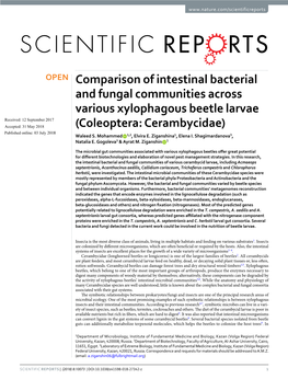 Comparison of Intestinal Bacterial and Fungal Communities Across Various