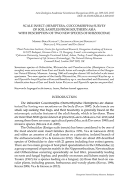 Scale Insect (Hemiptera, Coccomorpha) Survey of Soil Samples from Southern Asia with Description of Two New Species of Rhizoecidae