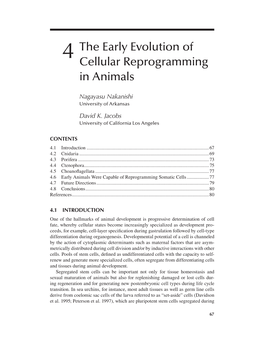 4 the Early Evolution of Cellular Reprogramming in Animals